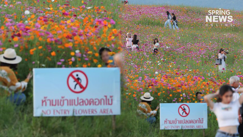 Netizens blast selfie-crazy tourists trampling on flower bed Netizens blast selfie-crazy tourists trampling on flower bed