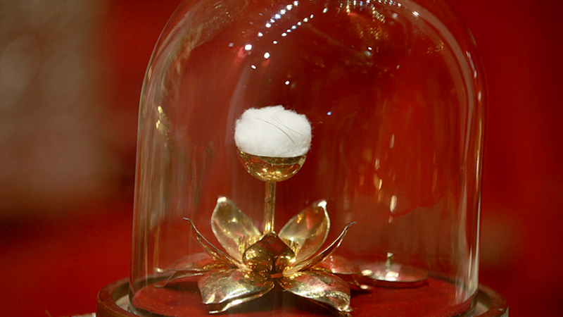 Sacred hair relic of the Buddha to enshrine in Thailand Sacred hair relic of the Buddha to enshrine in Thailand