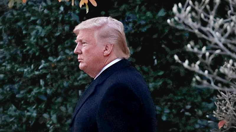 Japanese survey points to deep distrust of Trump Japanese survey points to deep distrust of Trump