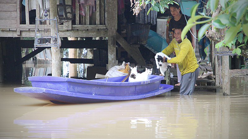 Rains bring heavy floods to southern provinces Rains bring heavy floods to southern provinces