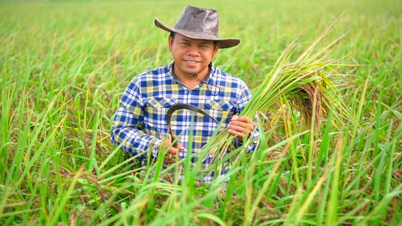 Farmers happiness index improves from previous year Farmers happiness index improves from previous year