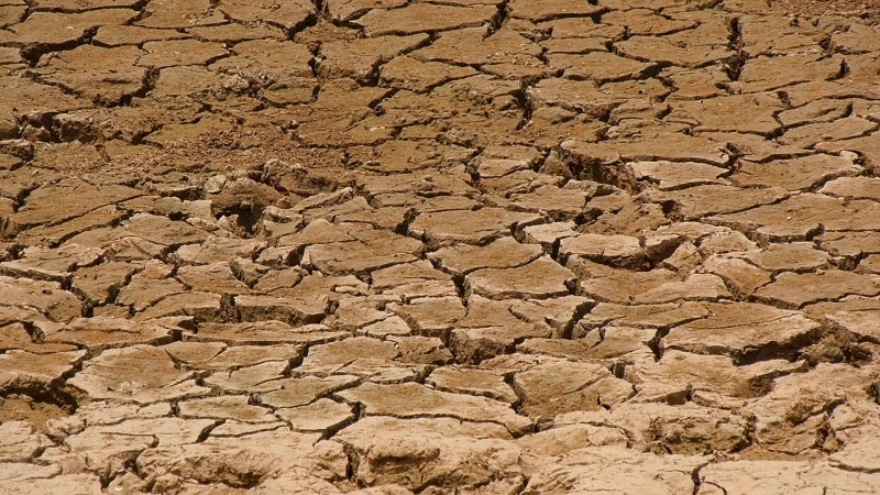 Water shortage to affect industries in East Water shortage to affect industries in East