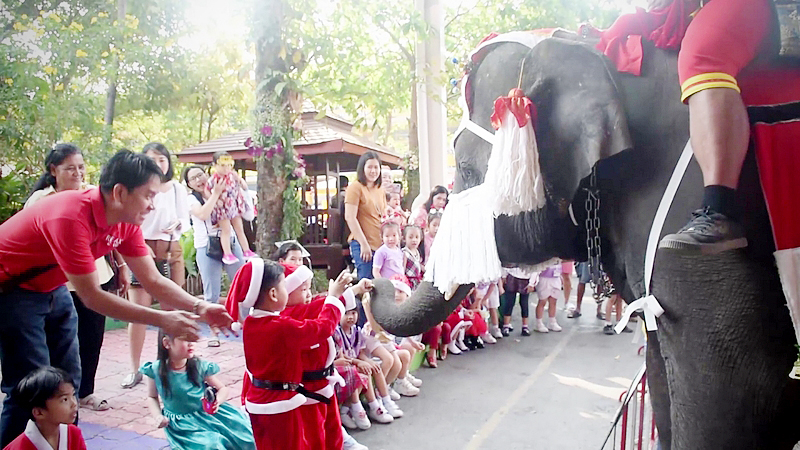 Elephants head to school to celebrate early Christmas Elephants head to school to celebrate early Christmas