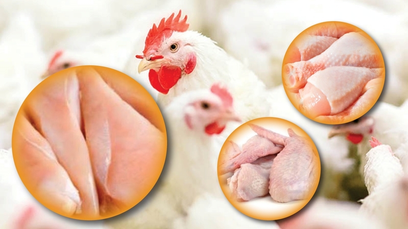 Increase in chicken products to China as competition increases Increase in chicken products to China as competition increases