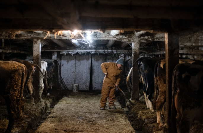In rural New York state's Trump Country, a season of need on family farms In rural New York state's Trump Country, a season of need on family farms