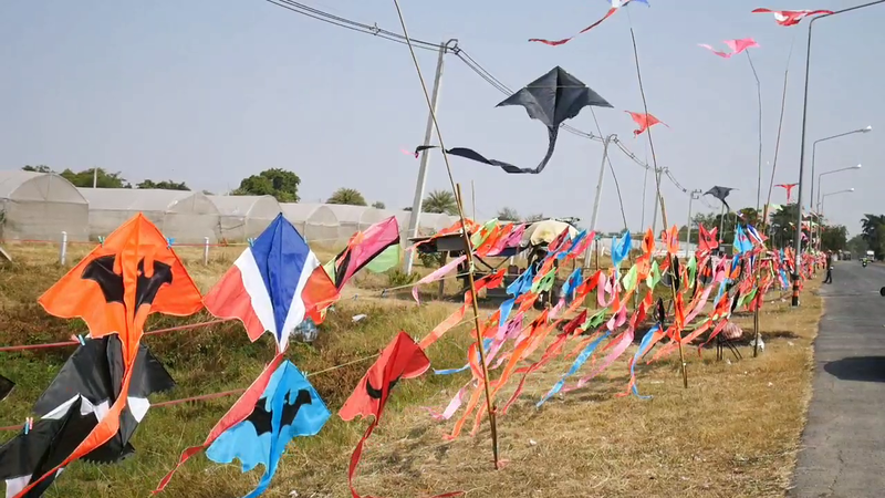 Heavy year-end traffic a boon for roadside vendors Heavy year-end traffic a boon for roadside vendors