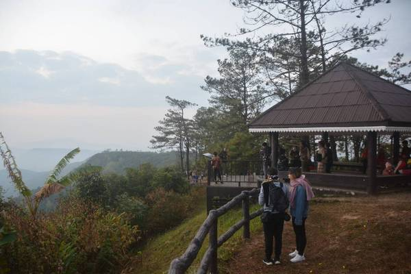 With floral and winter attractions, Phu Ruea prepares for tourist influx With floral and winter attractions, Phu Ruea prepares for tourist influx
