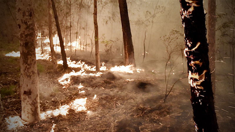 Fire burns in bush land in Batemans Bay, New South Wales, Australia, on Dec. 31, 2019. MUST CREDIT: Bloomberg photo by Mark Graham.