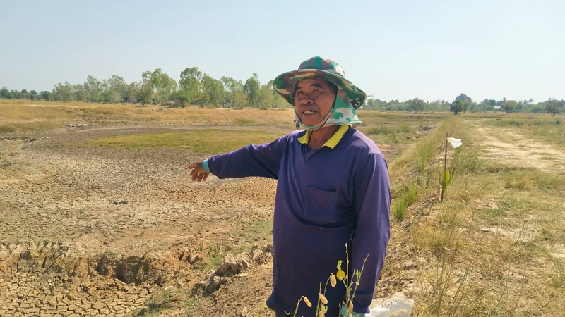 Off-season rice crop in 22 provinces threatened by drought Off-season rice crop in 22 provinces threatened by drought