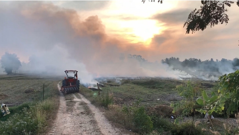Farmers burn straw fields, leaving smoke-filled sky in Sisaket district Farmers burn straw fields, leaving smoke-filled sky in Sisaket district