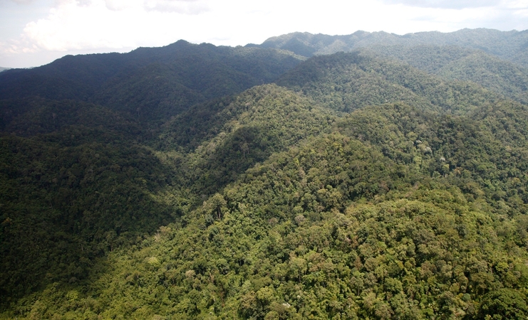 Kaeng Krachan rainforest proposed again as World Heritage Site Kaeng Krachan rainforest proposed again as World Heritage Site
