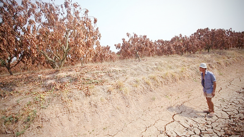 Twenty provinces hit by drought seek urgent assistance Twenty provinces hit by drought seek urgent assistance