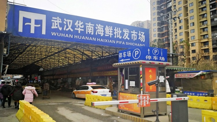 Japanese man who visited Wuhan infected with coronavirus Japanese man who visited Wuhan infected with coronavirus