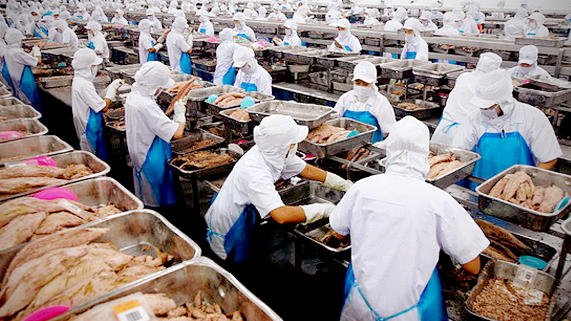 Food association optimistic for 2-5% export hike in 2020 Food association optimistic for 2-5% export hike in 2020