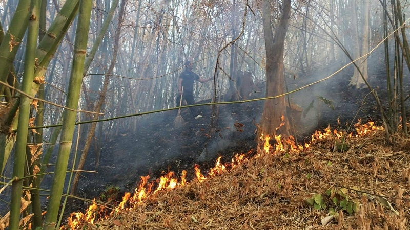 Ratchaburi national park fire limited today Ratchaburi national park fire limited today