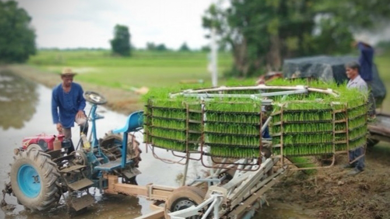 Agriculture Ministry seeks Cabinet nod for Bt8.9-billion grass roots development plan Agriculture Ministry seeks Cabinet nod for Bt8.9-billion grass roots development plan