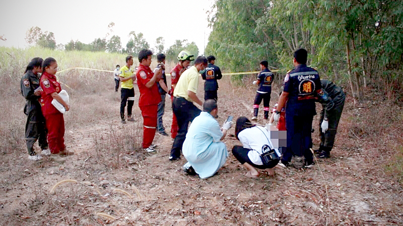 Mysterious decomposing corpse found in sugarcane plantation Mysterious decomposing corpse found in sugarcane plantation