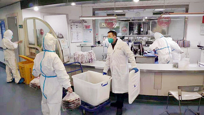 New Coronavirus: Wild animals could be contagion source New Coronavirus: Wild animals could be contagion source