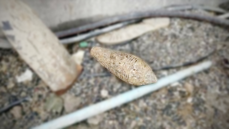 Mortar shell dug up in Bangkok could be Korean War vintage Mortar shell dug up in Bangkok could be Korean War vintage