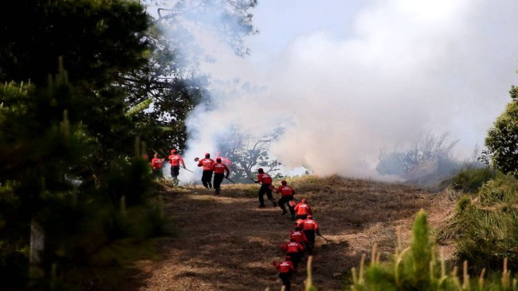 Firebreaks cleared in Chiang Rai forest Firebreaks cleared in Chiang Rai forest