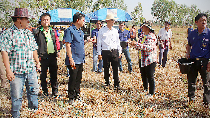 Farmers to end rice-stubble burning in Nakhon Ratchasima district Farmers to end rice-stubble burning in Nakhon Ratchasima district