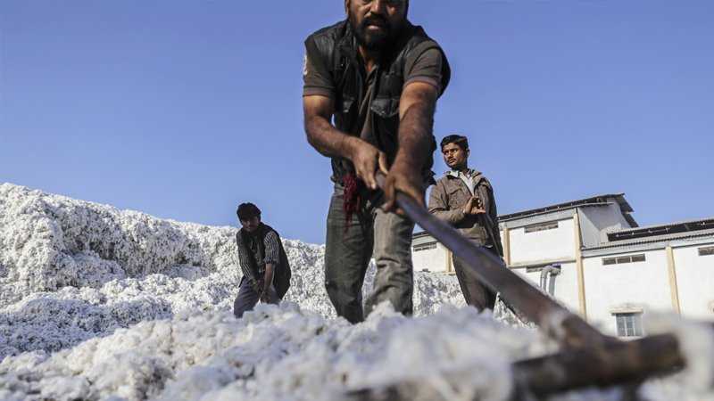 Virus prompts India top cotton trader to stop sales to China Virus prompts India top cotton trader to stop sales to China