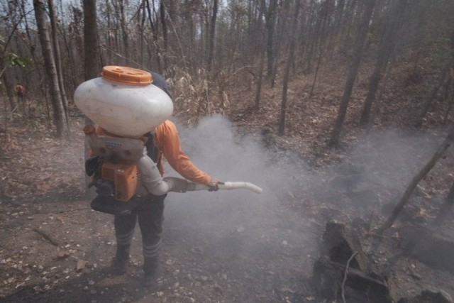 Strict no-burn zone measures to be implemented in North Strict no-burn zone measures to be implemented in North