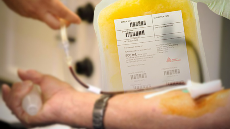 Family builds $3.8 billion fortune, one pint of blood at a time Family builds $3.8 billion fortune, one pint of blood at a time