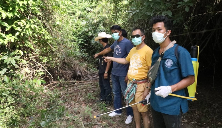 Deer carcasses found in Chumphon Deer carcasses found in Chumphon