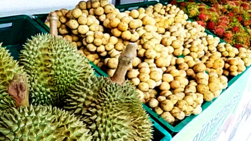 Weather giving East a bumper fruit crop Weather giving East a bumper fruit crop
