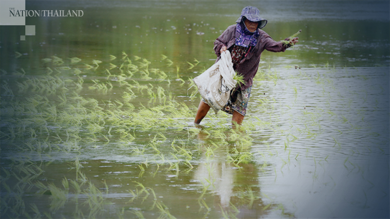 2020 rice exports put at 7.5 million tonnes 2020 rice exports put at 7.5 million tonnes