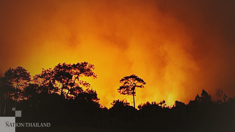 Phu Kradueng bushfire damages over 2,000 rai Phu Kradueng bushfire damages over 2,000 rai