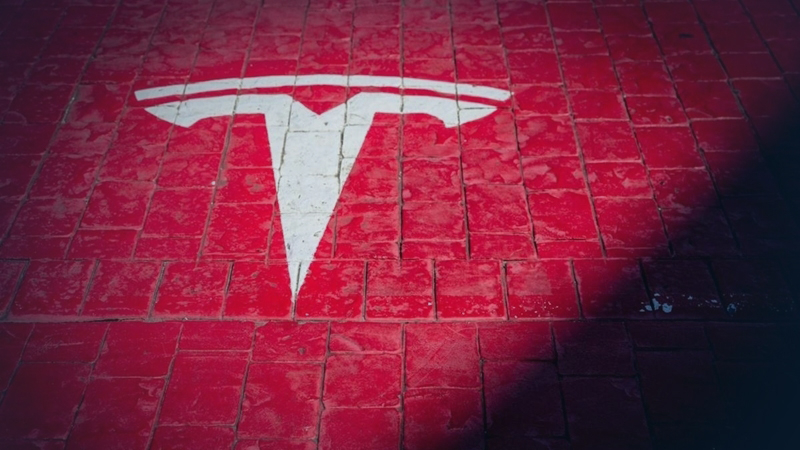 Tesla Berlin factory preparation delayed by German court Tesla Berlin factory preparation delayed by German court