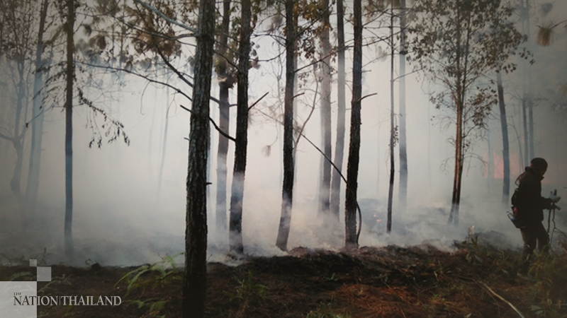 Phu Kradueng National Park blaze extinguished Phu Kradueng National Park blaze extinguished