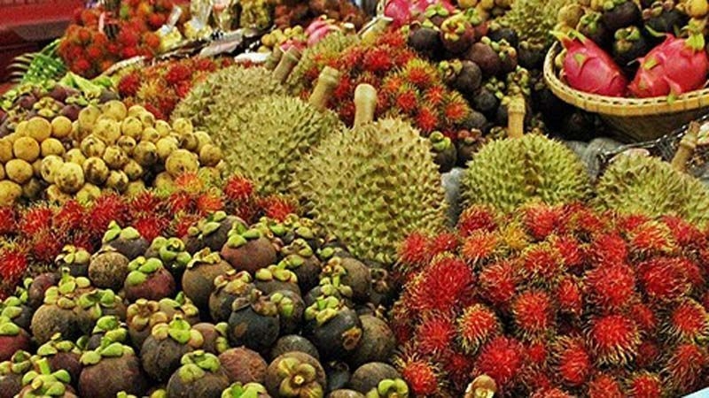 High price sweetens prospects for fruits High price sweetens prospects for fruits