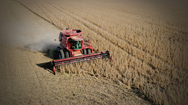 China could purchase much less U.S. farm product than thought, new USDA estimate suggests China could purchase much less U.S. farm product than thought, new USDA estimate suggests