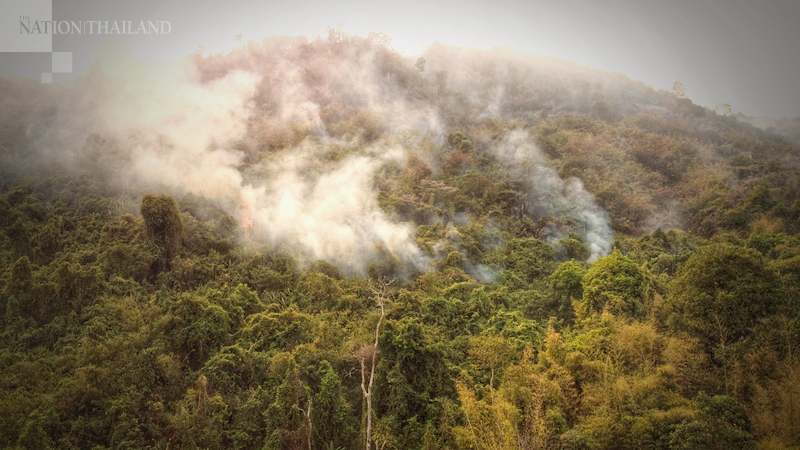 Govt to ‘seriously’ crack down on people burning forest land Govt to ‘seriously’ crack down on people burning forest land