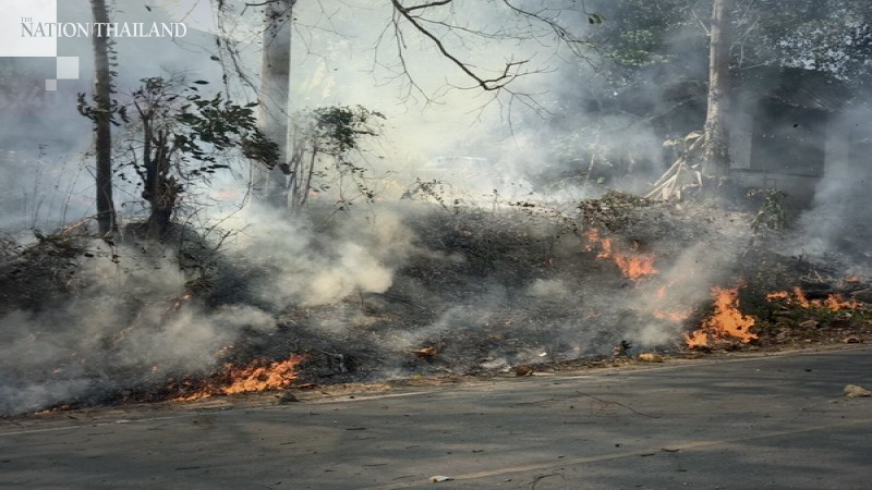 Drought-hit Phichit battles wildfire Drought-hit Phichit battles wildfire