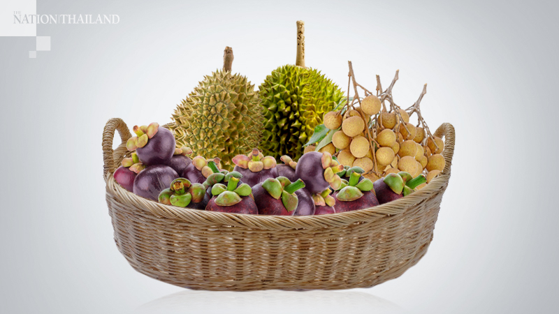 Cooperative Promotion Department instructed to urgently support fruit production Cooperative Promotion Department instructed to urgently support fruit production