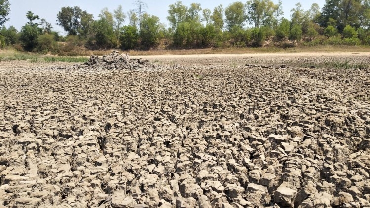 Drought disasters declared in 23 provinces Drought disasters declared in 23 provinces