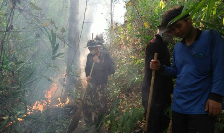 Fires still detected in Mae Hong Son forests amid governor’s warning Fires still detected in Mae Hong Son forests amid governor’s warning