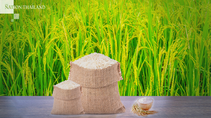 Rice price increasing due to drought, Covid-19 Rice price increasing due to drought, Covid-19