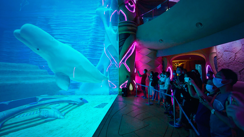 Chinese long for travel as epidemic wanes: survey Chinese long for travel as epidemic wanes: survey