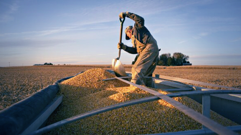 Countries starting to hoard food, threatening global trade Countries starting to hoard food, threatening global trade