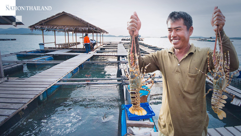 Sales of farmed fish, shellfish take deep dive Sales of farmed fish, shellfish take deep dive