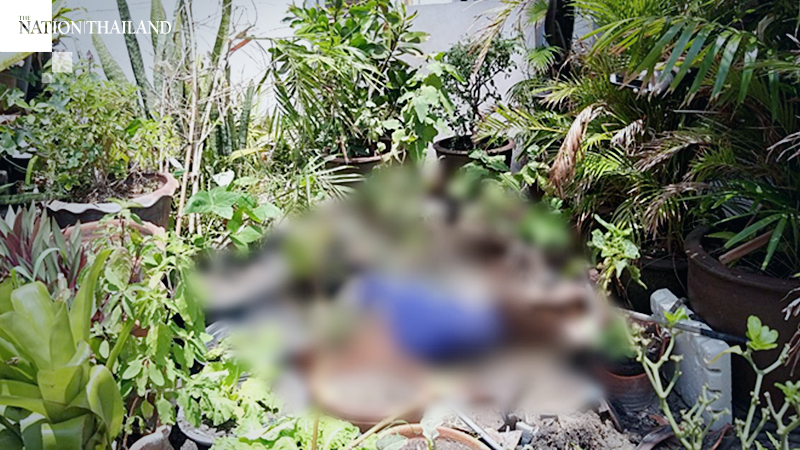 Briton, ‘cash-strapped by virus’, leaps to death Briton, ‘cash-strapped by virus’, leaps to death