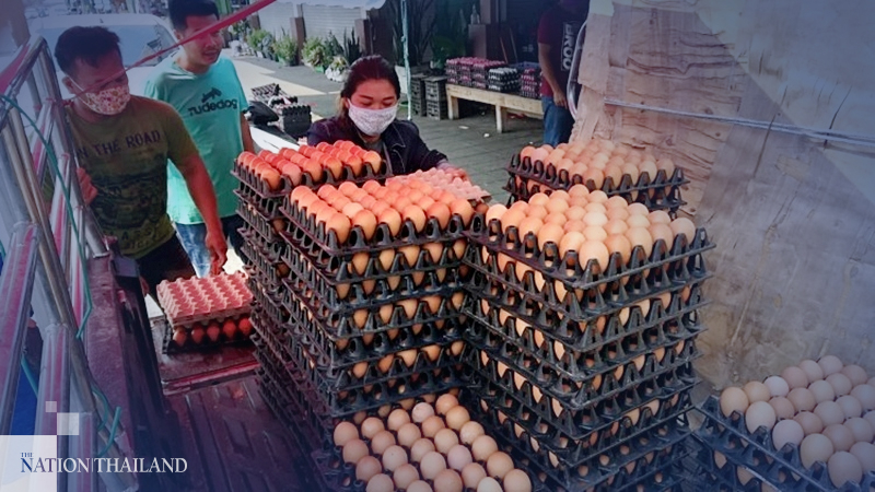 Ministry fixes price of eggs Ministry fixes price of eggs