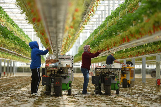 From Spain to Germany, farmers warn of fresh food shortages From Spain to Germany, farmers warn of fresh food shortages