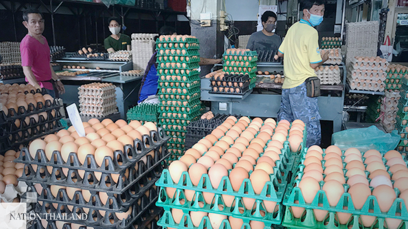 Ban on egg exports extended to prevent domestic shortage Ban on egg exports extended to prevent domestic shortage