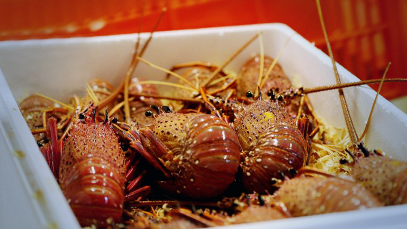Australia to charter planes full of lobster, beef to key markets Australia to charter planes full of lobster, beef to key markets